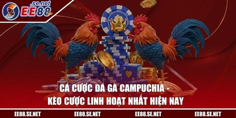 Cá Cược Đá Gà Campuchia - Kèo Cược Linh Hoạt Nhất Hiện Nay